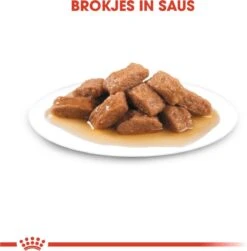 Royal Canin Shn Medium Adult Pouch - Hondenvoer - 10 X 140 G -Honden Benodigdheden Verkoop 1180x1200 8