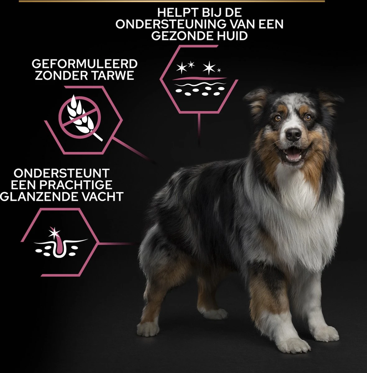 Pro Plan Medium Adult Sensitive Skin - Honden Droogvoer - Zalm - 14 Kg 15 Pro Plan Medium Adult Sensitive Skin - Honden Droogvoer - Zalm - 14 Kg - Afbeelding 13