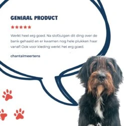 JC Pets Premium Pluizenborstel - Huisdierhaar Verwijderaar – Pluizenverwijderaar – Honden En Kattenhaar Verwijderaar - Ontpluizer - Pluizenroller 19 JC Pets Premium Pluizenborstel - Huisdierhaar Verwijderaar – Pluizenverwijderaar – Honden En Kattenhaar Verwijderaar - Ontpluizer - Pluizenroller -Honden Benodigdheden Verkoop 1183x1200 1