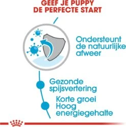 Royal Canin Shn Medium Puppy Pouch - Hondenvoer - 10 X 140 G -Honden Benodigdheden Verkoop 1184x1200 3