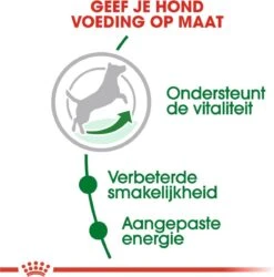 Royal Canin Mini Adult 8+ - Hondenvoer - 800 G -Honden Benodigdheden Verkoop 1186x1200 1