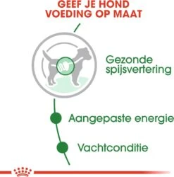 Royal Canin Shn Mini Adult Pouch - Hondenvoer - 12 X 85 G -Honden Benodigdheden Verkoop 1186x1200 2