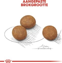 Royal Canin Maxi Puppy 4 KG -Honden Benodigdheden Verkoop 1186x1200