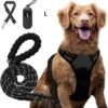 Somstyle Anti Trek Hondentuig L Met Hondenriem - Leiband - Y Tuig Hond - Hondenharnas - Riem - Zwart 1 Somstyle Anti Trek Hondentuig L Met Hondenriem - Leiband - Y Tuig Hond - Hondenharnas - Riem - Zwart -Honden Benodigdheden Verkoop 1188x1200 8