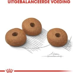 Royal Canin Mini Light 8 KG -Honden Benodigdheden Verkoop 1190x1200 1