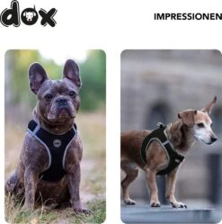 DDOXX Borstharnas Air Mesh, Step-In, Reflecterend | Vele Kleuren | Voor Kleine, Middelgrote En Middelgrote Honden | Hondenharnas Hond Kat Puppy | Kattenharnas Puppy Harnas | Zwart, M -Honden Benodigdheden Verkoop 1191x1200 11
