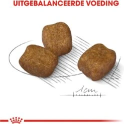 Royal Canin Ccn Dental Care Mini - Hondenvoer - 3 Kg -Honden Benodigdheden Verkoop 1193x1200