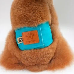 Merkloos Hondenluier Voor Kleine Hond - Luier Voor Reu - Buikband Maat S 27 Cm X 25 Cm 9 Merkloos Hondenluier Voor Kleine Hond - Luier Voor Reu - Buikband Maat S 27 Cm X 25 Cm -Honden Benodigdheden Verkoop 1194x1200 6