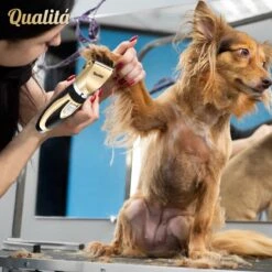 Merkloos Professionele Honden Tondeuse Set - Tondeuse Voor Huisdier Honden En Katten - Hondentrimmer - Hondentondeuse 15 Merkloos Professionele Honden Tondeuse Set - Tondeuse Voor Huisdier Honden En Katten - Hondentrimmer - Hondentondeuse -Honden Benodigdheden Verkoop 1198x1200 19