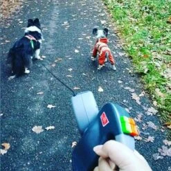 Wigzi Dual Doggie 2.0 Voor Twee Honden - Hondenriem - Grijs - 3m - <22 Kg (per Hond) -Honden Benodigdheden Verkoop 1198x1200 29