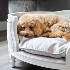 Lord Lou - George Roze Velvet S - Luxe Hondenmand - Luxe Kattenmand - 49x40x31 17 Lord Lou - George Roze Velvet S - Luxe Hondenmand - Luxe Kattenmand - 49x40x31 -Honden Benodigdheden Verkoop 1198x1200 34