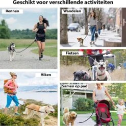Filo Elastische Hondenriem Groot - Hardlopen En Wandelen - Hardloopriem Hond Handsfree Met Heuptasje - Looplijn Met Heupriem - Canicross Gordel Honden - Riemen - Heupgordel - Leiband -Honden Benodigdheden Verkoop 1199x1200 12
