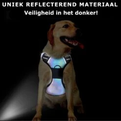 Mister Mill Hondentuigje 2x Klikgesp Maat XL Grijs - Anti-Trek Tuig Hondenharnas - Y Tuig Hond Reflecterend 16 Mister Mill Hondentuigje 2x Klikgesp Maat XL Grijs - Anti-Trek Tuig Hondenharnas - Y Tuig Hond Reflecterend -Honden Benodigdheden Verkoop 1199x1200 24