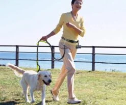 Canicross Looplijn Hond Met Heupriem Voor Hardlopen - Elastische Handsfree Hondenriem - Honden Trainingslijn - 150/210cm - Zwart -Honden Benodigdheden Verkoop 1200x1000 5