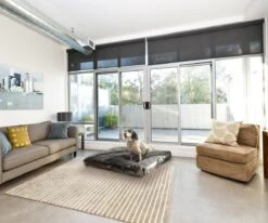 PrimePlus Hondenkussen XL Antraciet - 120x80x10 CM - Zacht En Luxe Hondenmand - Hondenbed - Hondenmat - Orthopedisch Hondenkussens -Honden Benodigdheden Verkoop 1200x1000 9