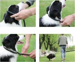 LOUZIR Cesar Millan Sliplijn Met Stop - Hondenriem - Rood - 130 Cm -Honden Benodigdheden Verkoop 1200x1003 2