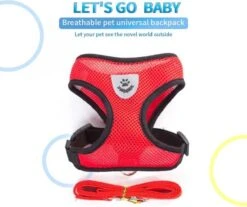 Hondentuig- Hondentuigjes Kleine Hond-hondentuigjes Puppy-Kattenspeeltjes-kat-dog-Kattenharnas-kattentuigje -kattentuigje Met Looplijn-maat M-Rood 8 Hondentuig- Hondentuigjes Kleine Hond-hondentuigjes Puppy-Kattenspeeltjes-kat-dog-Kattenharnas-kattentuigje -kattentuigje Met Looplijn-maat M-Rood -Honden Benodigdheden Verkoop 1200x1007 2