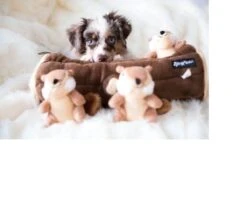 Zippy Paws - Petshop By Fringe Studio- Intelligentie Spel - Speelgoed Hond - Honden - Puzzel - Eekhoorn 10 Zippy Paws - Petshop By Fringe Studio- Intelligentie Spel - Speelgoed Hond - Honden - Puzzel - Eekhoorn -Honden Benodigdheden Verkoop 1200x1014 6