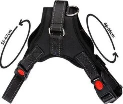 PetsPro Hondentuigje - Maat L - Anti Trek Honden Harnas - Honden Tuig - Tot 40 Kg - Nek Omvang: 55-67 Cm Borst Omvang: 68-86 Cm -Honden Benodigdheden Verkoop 1200x1016 2
