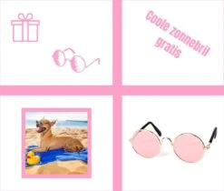 Pepets© – Hondenhanddoek – Honden Handdoek – Microvezel Handdoek – Handdoek Hond – Hondendeken – Droogdoek Hond – Dierendeken – Absorberend – 100*50CM - Beige - GRATIS Zonnebril 18 Pepets© – Hondenhanddoek – Honden Handdoek – Microvezel Handdoek – Handdoek Hond – Hondendeken – Droogdoek Hond – Dierendeken – Absorberend – 100*50CM - Beige - GRATIS Zonnebril -Honden Benodigdheden Verkoop 1200x1018 1