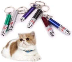 Katten Laser - Lampje Voor De Kat - 2 In 1 - Laser + Wit Lampje - Met Hanger - Katten / Honden Laserlamp - Mini - Sleutelhanger 7 Katten Laser - Lampje Voor De Kat - 2 In 1 - Laser + Wit Lampje - Met Hanger - Katten / Honden Laserlamp - Mini - Sleutelhanger -Honden Benodigdheden Verkoop 1200x1023 3