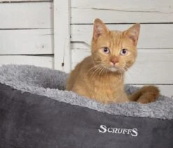 Scruffs Cosy Kattenmand - Comfortabel En Voordelig Met Zachte Binnenvoering En Imitatie Suède Buitenvoering - 3 Kleuren - Ø 45 Cm - Karamel -Honden Benodigdheden Verkoop 1200x1024 1