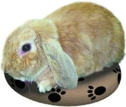 Snugglesafe Warmteschijf Hond/Kat - 24 Cm -Honden Benodigdheden Verkoop 1200x1026 9