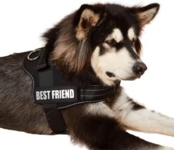 Woofy Hondentuig - Anti Trek - Hondenharnas - Reflecterend - Verstelbaar -Honden Benodigdheden Verkoop 1200x1034 5