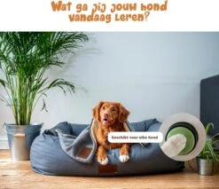 Praatknop Hond – Set Van 4 - Honden Speelgoed – Honden Training – Dogbuttons – Huisdier – Puppy Training - Hondenspeelgoed Intelligentie - Hond Opvoeden -Honden Benodigdheden Verkoop 1200x1036 5