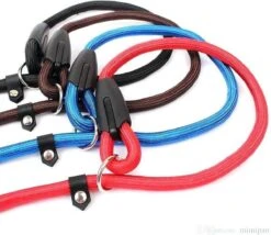 Merkloos Nylon Trainingslijn Voor Honden - Hondenriem - Blauw - Tot 5 Kg -Honden Benodigdheden Verkoop 1200x1038 1