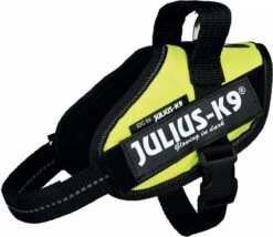 Julius K9 Julius-K9 IDC®Powertuig, S - Mini, Neon -Honden Benodigdheden Verkoop 1200x1041 9