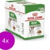 Royal Canin Shn Mini Adult Pouch - Hondenvoer - 4 X 12 X 85 G -Honden Benodigdheden Verkoop 1200x1042