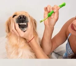 Merkloos Tandenborstel - Voor Huisdieren - Honden - 3 Zijdig - Multi-Hoek - Schoonmaken - Tanden - Slechte Adem - Tandsteen - Tandenborstel - Gezondheid - Blauw -Honden Benodigdheden Verkoop 1200x1042 2