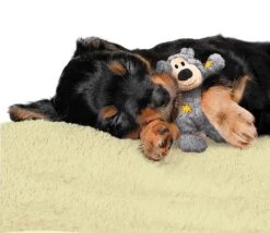 Kong Wild Knots Beer - Hondenspeelgoed - Assorti - M - 25 X 20 X 10 Cm -Honden Benodigdheden Verkoop 1200x1042 4