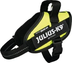 Julius K9 Julius-K9 IDC®Powertuig, XS - Mini-Mini, Neon -Honden Benodigdheden Verkoop 1200x1043 4