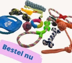 (Goedkoopste) Honden Speelgoed Set 15 Stuks Geschikt Voor Puppy's T/m Middelgrote Honden - Honden Kauw Speelgoed - 15 Stuks - Hondenspeeltjes - Intelligentie - Touw - Flostouw - Bijtring - Bal - Huisdieren Speelgoed 21 (Goedkoopste) Honden Speelgoed Set 15 Stuks Geschikt Voor Puppy's T/m Middelgrote Honden - Honden Kauw Speelgoed - 15 Stuks - Hondenspeeltjes - Intelligentie - Touw - Flostouw - Bijtring - Bal - Huisdieren Speelgoed -Honden Benodigdheden Verkoop 1200x1046 4
