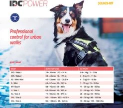 Julius K9 Julius-K9 IDC®Powertuig, 2XL - Maat 3, Zwart -Honden Benodigdheden Verkoop 1200x1053 17