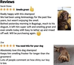 Bugalugs - Hondenshampoo - One In A Million - Alle Vachttypes - Fles Met Pompje - Vegan - 500 Ml -Honden Benodigdheden Verkoop 1200x1061 1