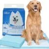 Nobleza 48WQF - Puppy Training Pads - 60 X 90 Cm - Zindelijkheidstraining -50 Stuks - L 1 Nobleza 48WQF - Puppy Training Pads - 60 X 90 Cm - Zindelijkheidstraining -50 Stuks - L -Honden Benodigdheden Verkoop 1200x1061 3