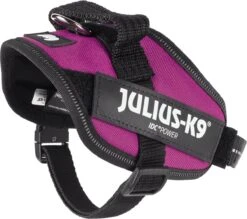 Julius K9 Julius-K9 IDC®Powertuig, XS - Mini-Mini, Donkerroze -Honden Benodigdheden Verkoop 1200x1062 7