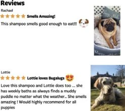 Bugalugs - Hondenshampoo - One In A Million - Alle Vachttypes - Fles Met Pompje - Vegan - 500 Ml -Honden Benodigdheden Verkoop 1200x1066 5