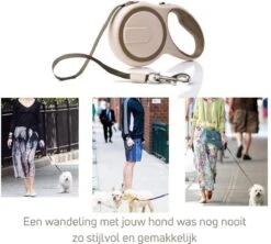 Hondenriem - Leiband Hond - Rollijn - 5 Meter - Beige - Riem Met Oprolsysteem - Hondenriem Flexi - Hondenlijn - Uitlaatriem -Honden Benodigdheden Verkoop 1200x1077 3