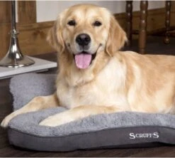 Scruffs Cosy - Comfortabel Hondenkussen In Grijs, Beige Of Karamel - Met Imitatie Suède Buitenvoering En Superzachte Binnenvoering - 100 X 70 Cm - Grijs -Honden Benodigdheden Verkoop 1200x1080 3