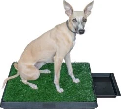 Adori Trainingsmat Gras - Hondentoilet - 50x63 Cm Multi-Color -Honden Benodigdheden Verkoop 1200x1082 2