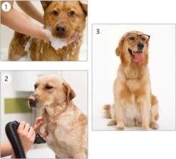 Waterblazer Hond - Hondendroger -Honden Benodigdheden Verkoop 1200x1083 1