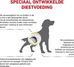 Royal Canin Hond Urinary SO 13 Kg - 18 Royal Canin Hond Urinary SO 13 Kg - -Honden Benodigdheden Verkoop 1200x1083