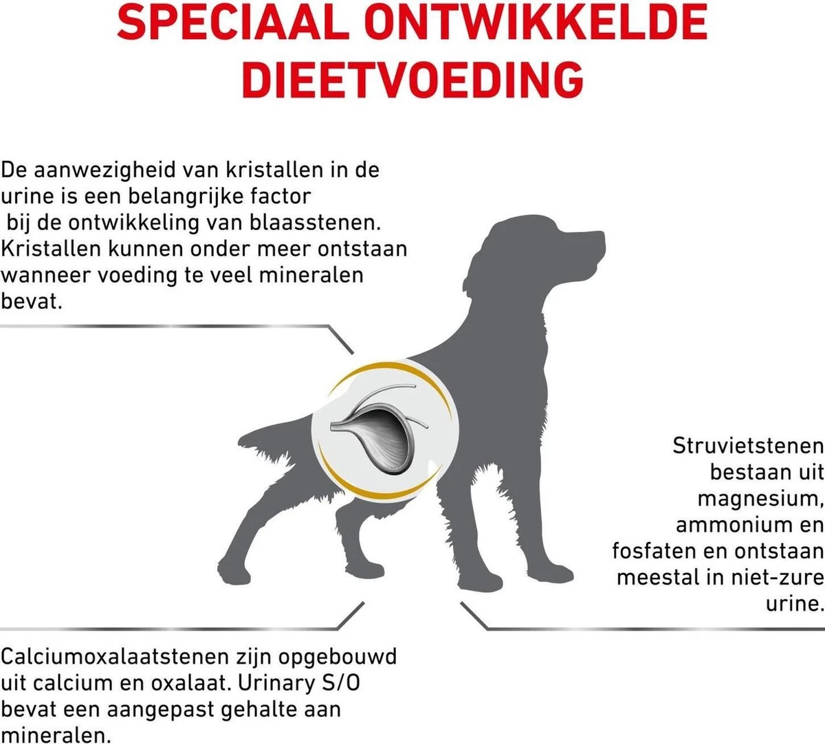 Royal Canin Hond Urinary SO 13 Kg - 6 Royal Canin Hond Urinary SO 13 Kg - - Afbeelding 4