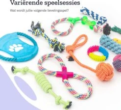 All 4 Pets Supply® Honden Speelgoed Set Geschikt Voor Puppy's T/m Middelgrote Honden - 12 Stuks - Hondenspeeltjes - Intelligentie - Touw - Flostouw - Bijtring - Bal -Honden Benodigdheden Verkoop 1200x1086 6