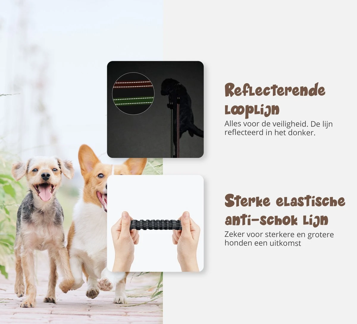 Hardloopriem Hond – Honden Riem Handsfree – Hardlopen Met Hond – 160-260 Cm Groen- Hardloopband Hond – Halsband Hond – Hondenlijn – Leiband Hond 7 Hardloopriem Hond – Honden Riem Handsfree – Hardlopen Met Hond – 160-260 Cm Groen- Hardloopband Hond – Halsband Hond – Hondenlijn – Leiband Hond - Afbeelding 5