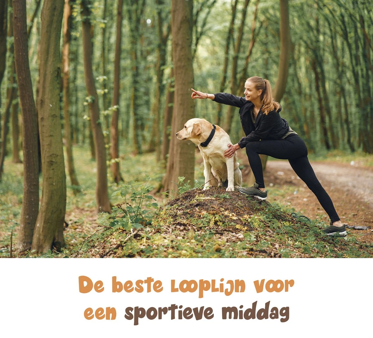 Hardloopriem Hond – Honden Riem Handsfree – Hardlopen Met Hond – 160-260 Cm Groen- Hardloopband Hond – Halsband Hond – Hondenlijn – Leiband Hond 9 Hardloopriem Hond – Honden Riem Handsfree – Hardlopen Met Hond – 160-260 Cm Groen- Hardloopband Hond – Halsband Hond – Hondenlijn – Leiband Hond - Afbeelding 7